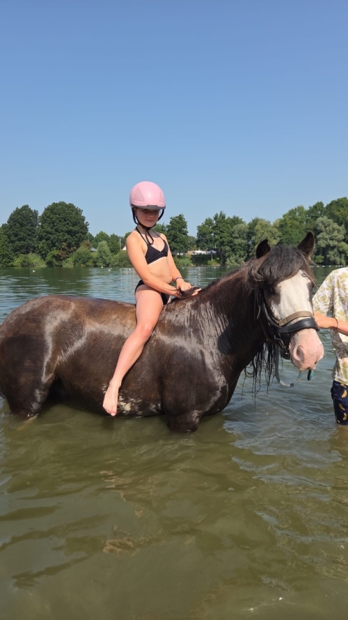 Foto's van SAM’s STAL