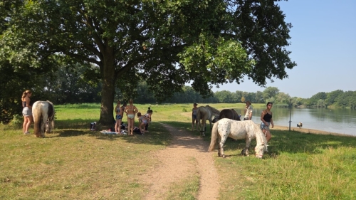 Foto's van SAM’s STAL