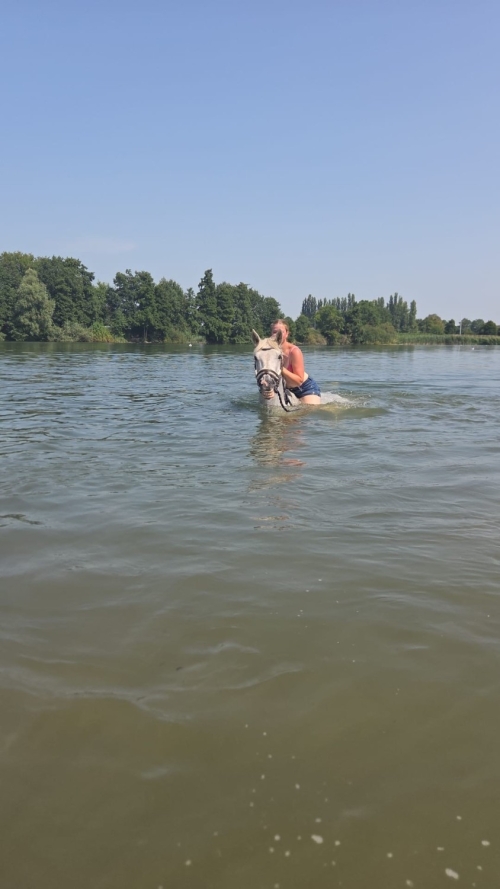 Foto's van SAM’s STAL