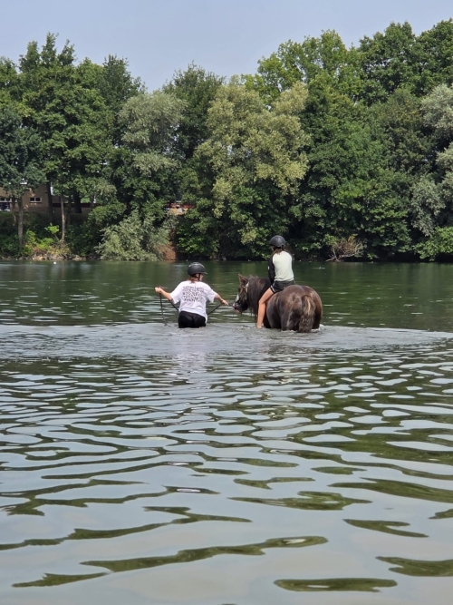 Foto's van SAM’s STAL