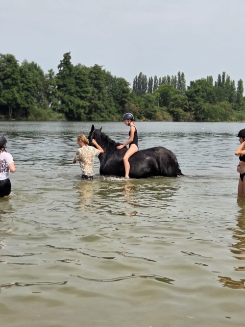 Foto's van SAM’s STAL