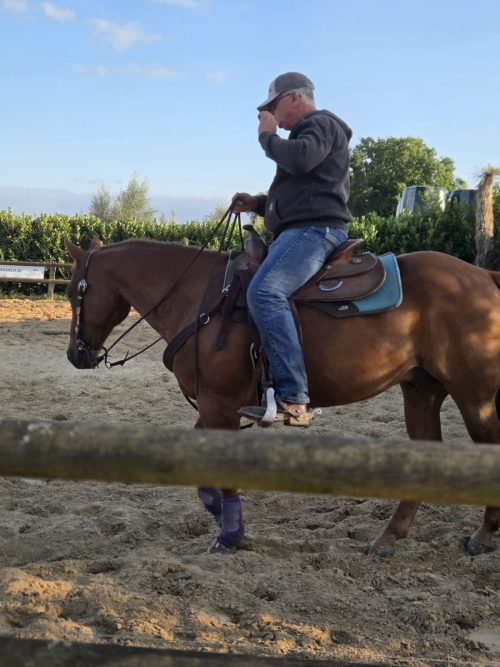 Foto's van SAM’s STAL